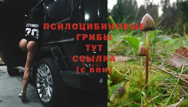 МДМА Алексин