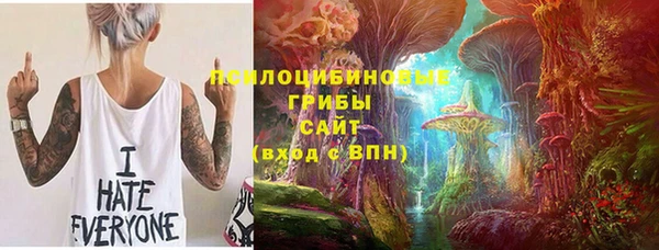 синтетический гашиш Алексеевка