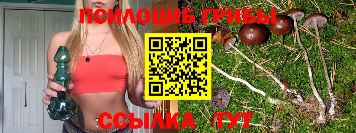Воткинск  Галлюциногенные грибы MAGIC MUSHROOMS  Галлюциногенные грибы прущие грибы  Вход с VPN 